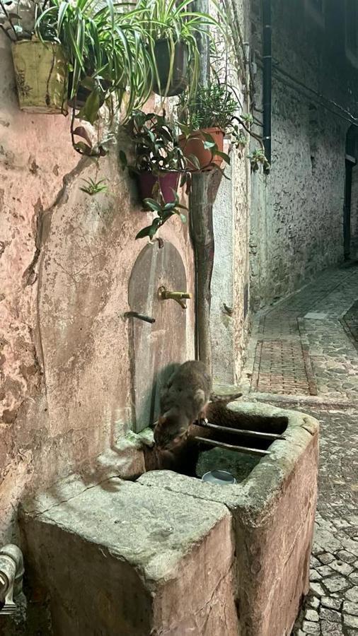Le Petit Bijou Di Dolceacqua, Per Un Momento Romantico Esterno foto